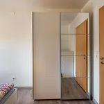 Haus Gisela - Stockkamp * Todtmoos