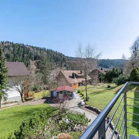 Appartement Haus Gisela - Stockkamp Todtmoos