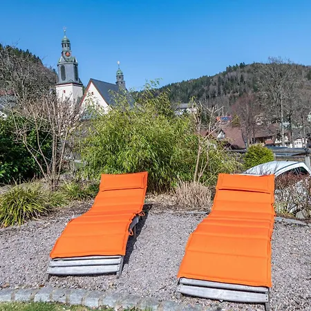 Haus Gisela - Stockkamp * Todtmoos