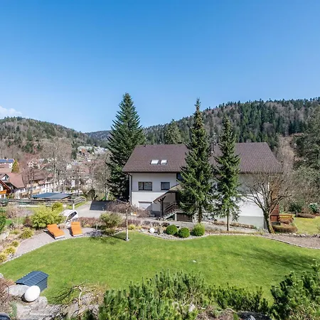Haus Gisela - Stockkamp Apartman Todtmoos