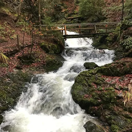 Haus Gisela - Stockkamp Appartement *