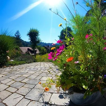 Appartement Haus Gisela - Stockkamp