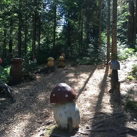 Haus Gisela - Stockkamp