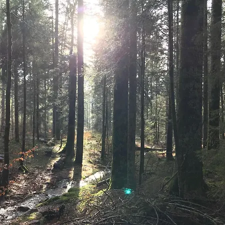 Haus Gisela - Stockkamp * Todtmoos