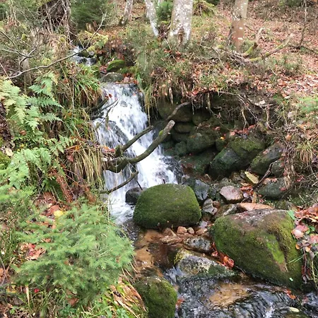 Haus Gisela - Stockkamp Appartement