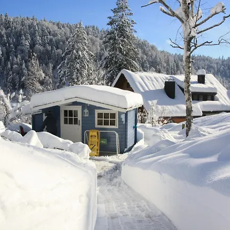 Haus Gisela - Stockkamp Appartement Todtmoos