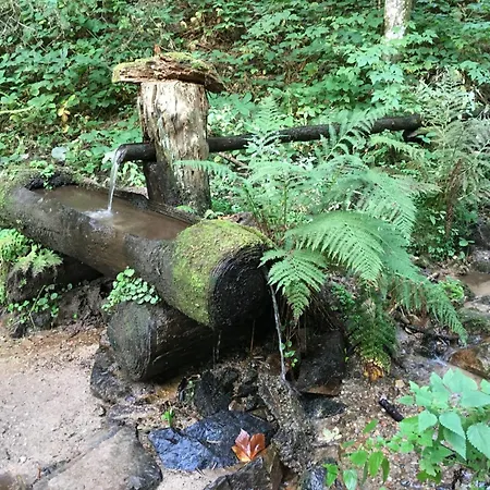 Haus Gisela - Stockkamp *