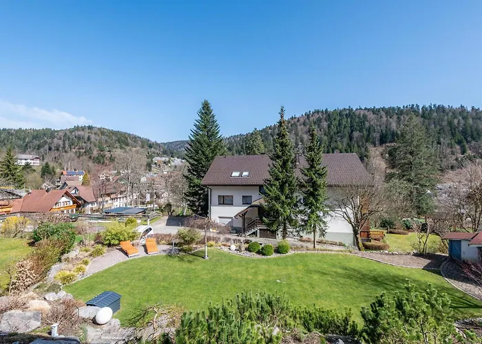 Haus Gisela - Stockkamp Lägenhet Todtmoos